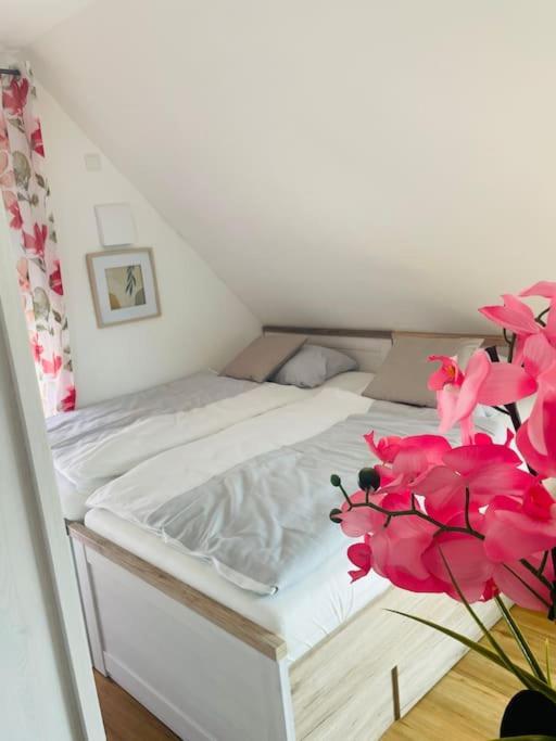 Apartment Scholle Steinbeck Recke Eksteriør bilde